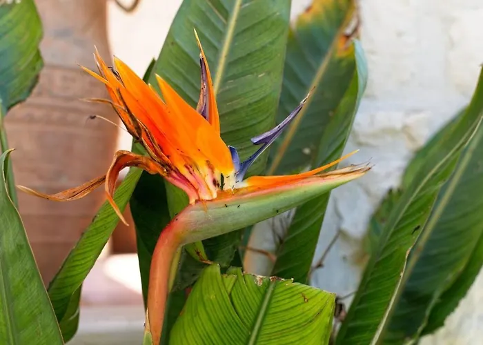 Petalouda Stunning In Zante Βίλα Τραγάκι